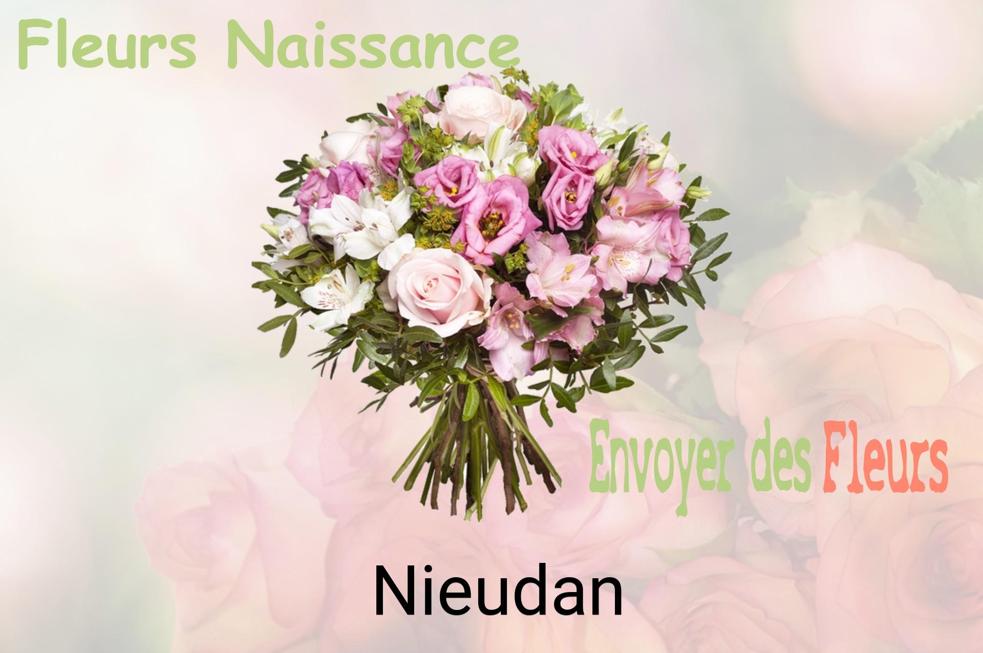 Bouquet de fleurs de naissance livré à Nieudan